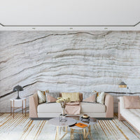 Driftwood Texture Wall Mural installed in a bright, airy entryway.