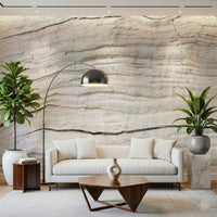 Detailed grain pattern of the natural Driftwood Texture Wall Mural.