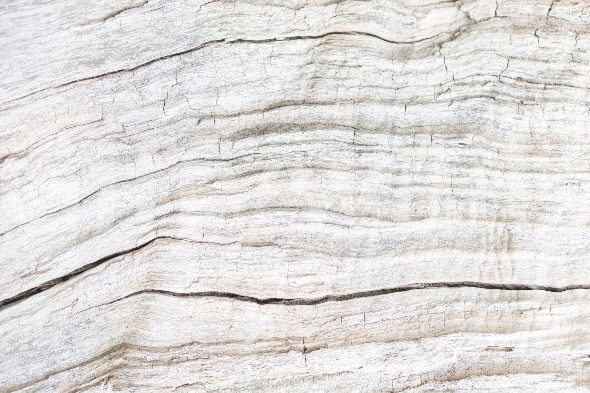 Elegant accent wall using the horizontal Driftwood Texture Wall Mural.