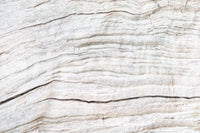 Elegant accent wall using the horizontal Driftwood Texture Wall Mural.