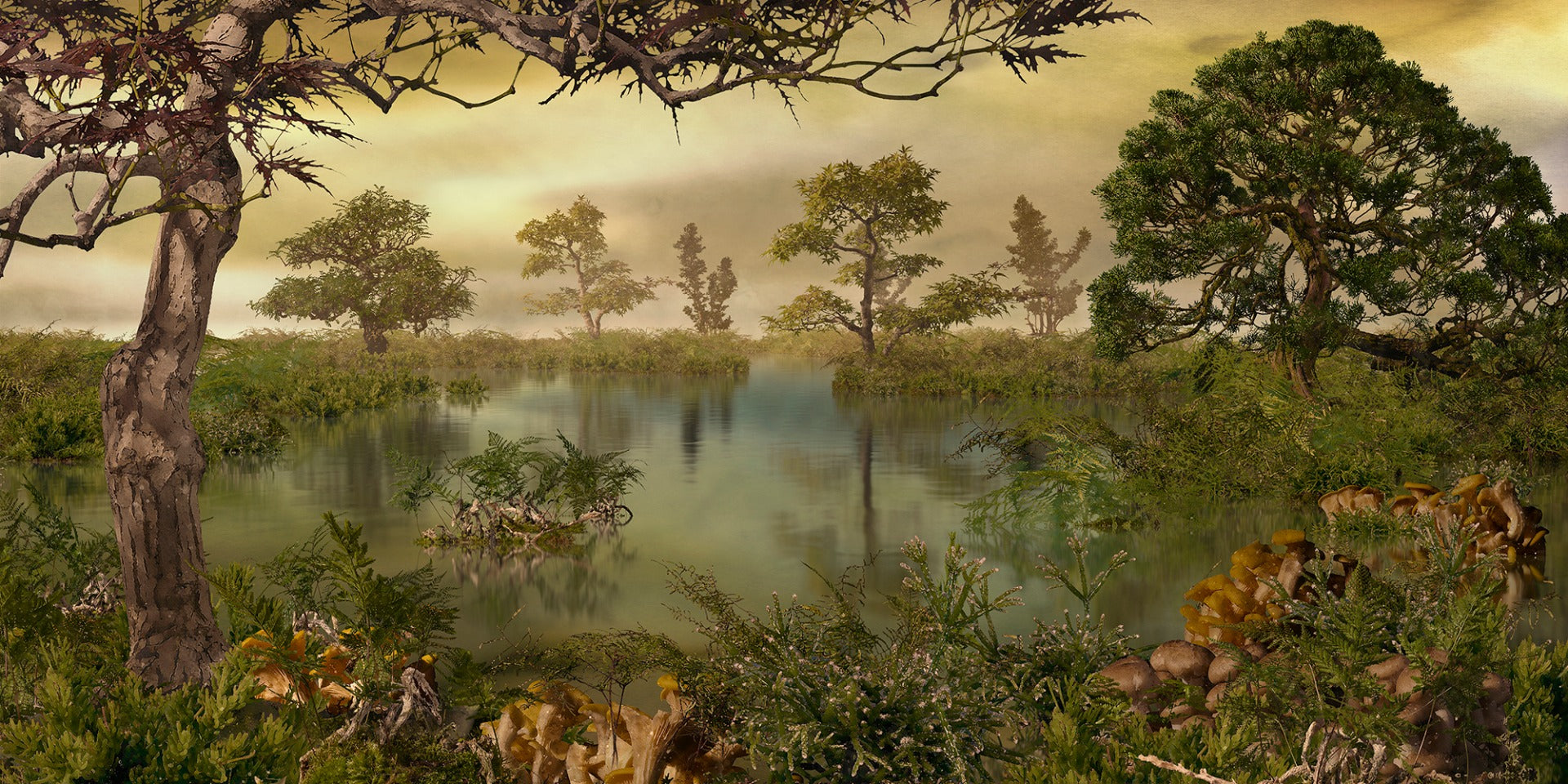 Autumn Embrace Woodland Mural