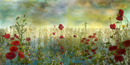 poppy petal green floral landscape wallpaper