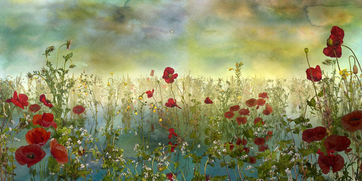 poppy petal green floral landscape wallpaper