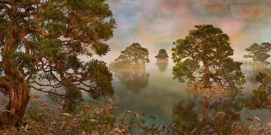 Serenity Lake Watercolor Sunset Wall Art