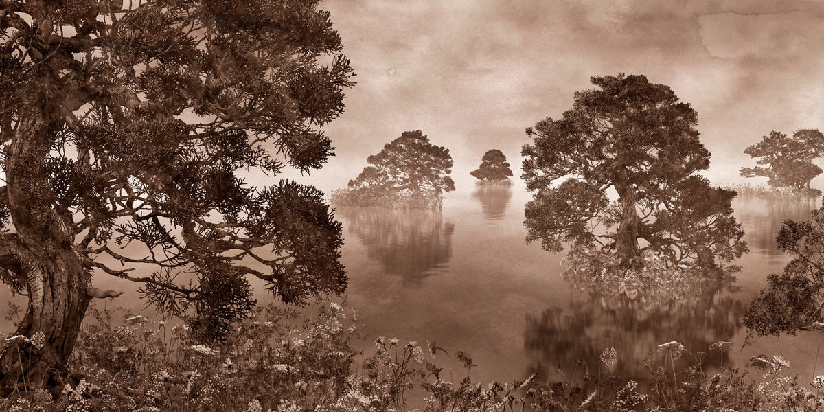 Watercolor Lake Monochrome Ink Sepia Wallpaper Murals