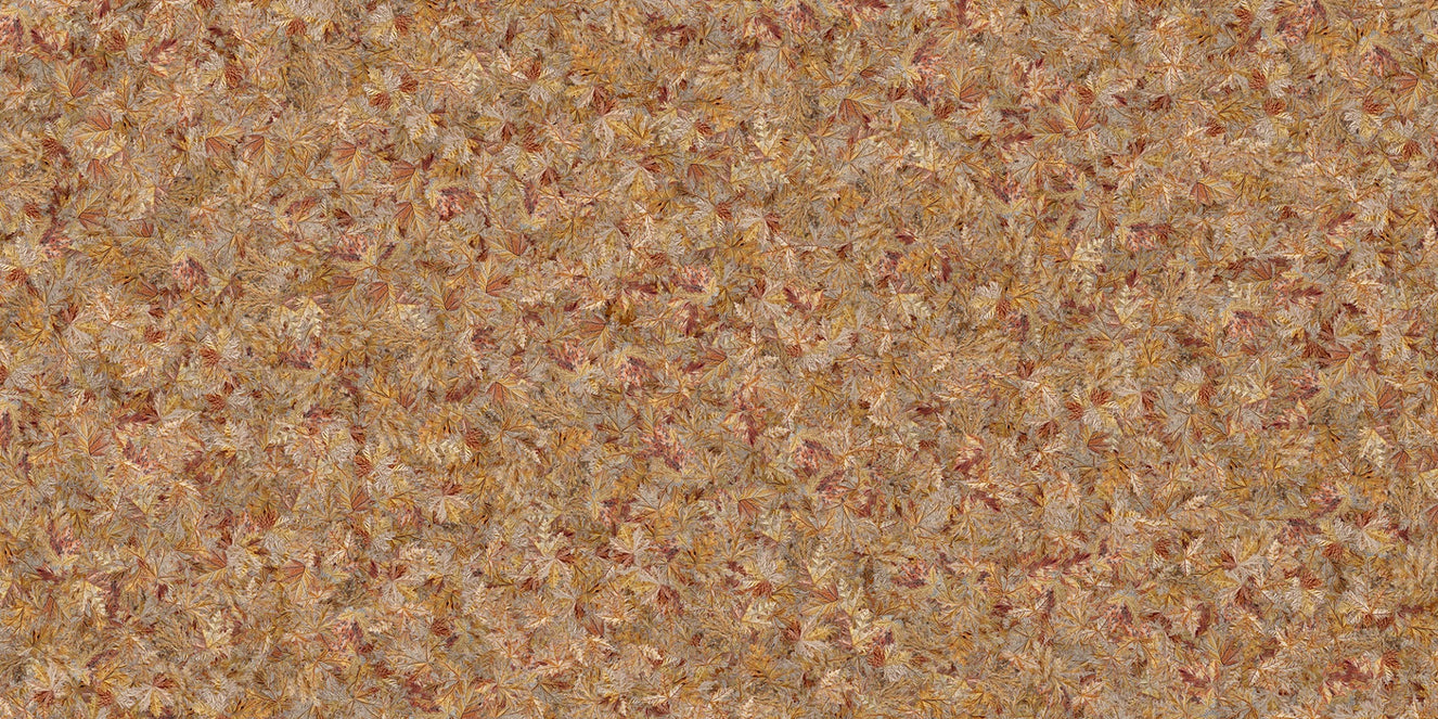 Taupe Brown Autumn Leaf Wallpaper Mural