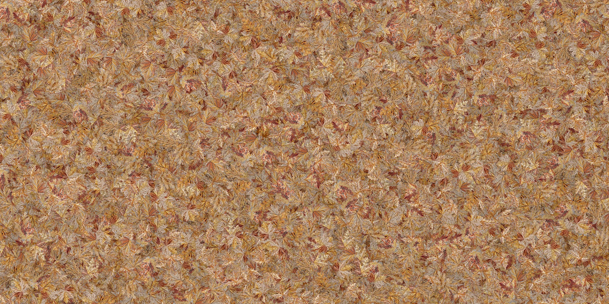 Taupe Brown Autumn Leaf Wallpaper Mural