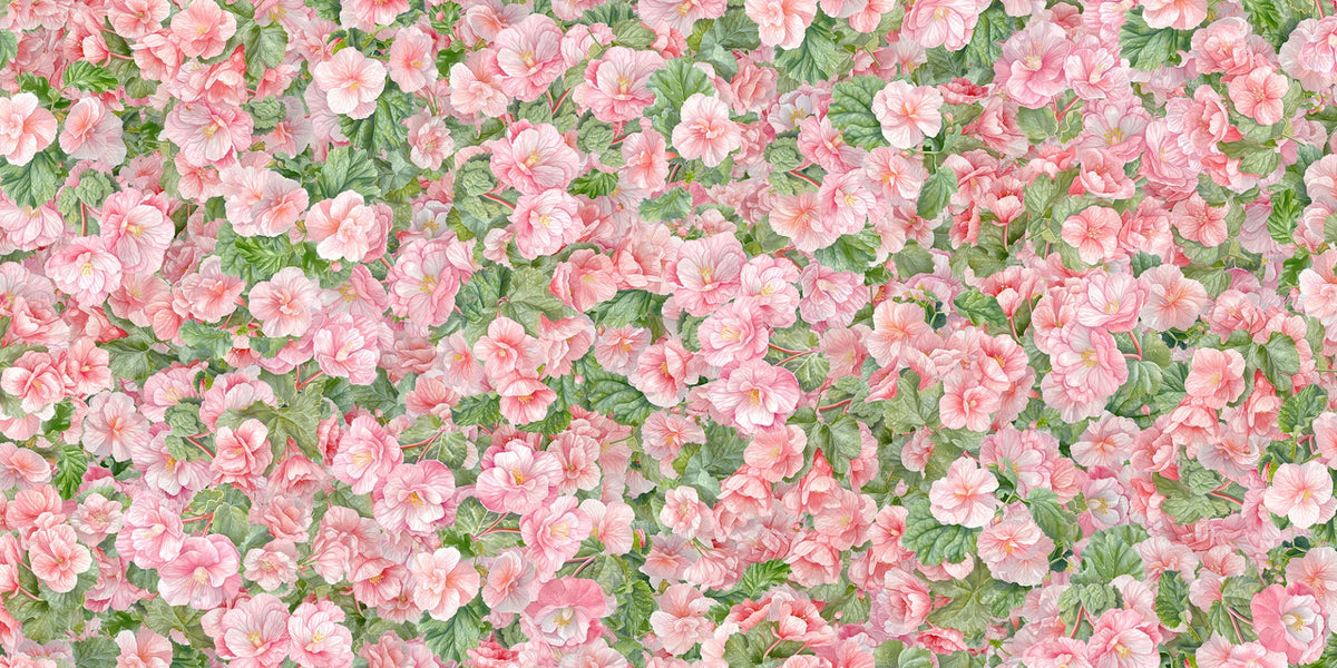 blush begonia bloomscape mural wallpaper