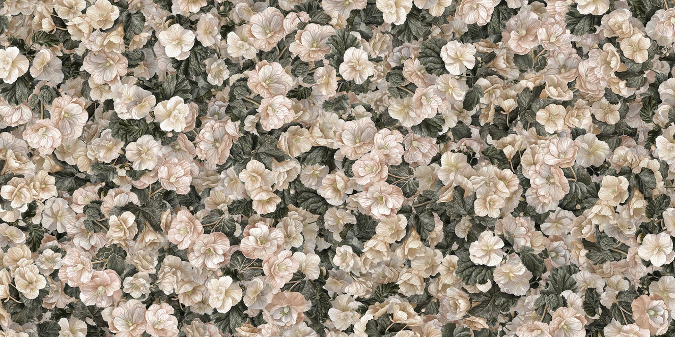 begonia elegance mural wallpaper
