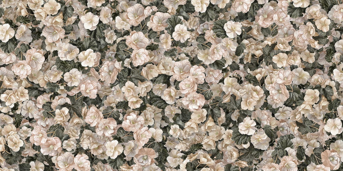 begonia elegance mural wallpaper