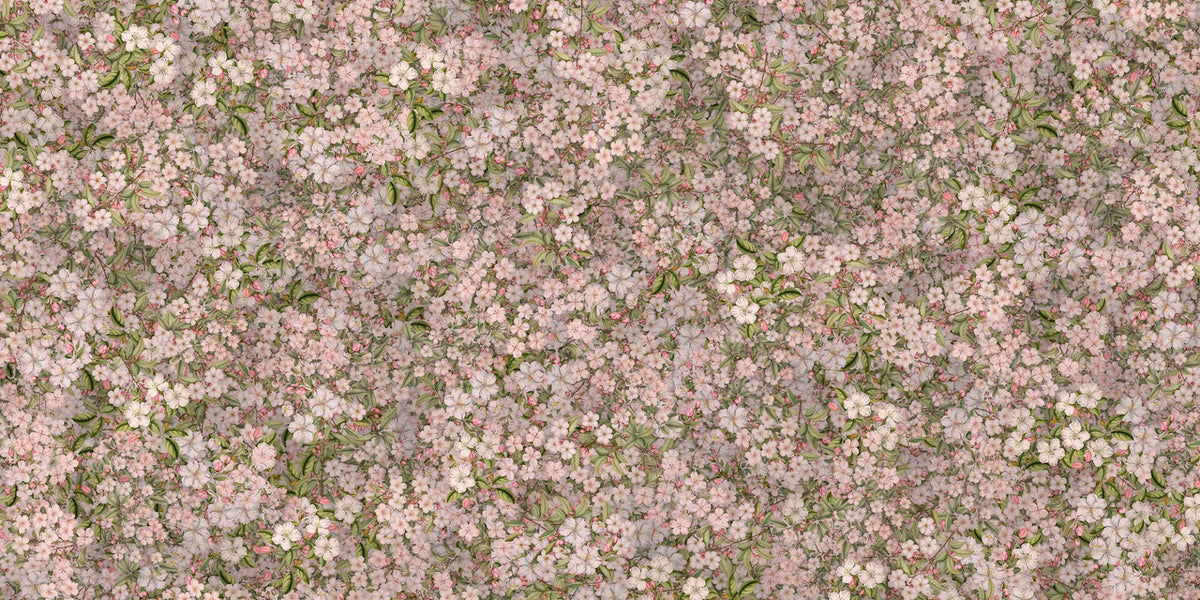 cherry charm pastel blossom wall mural
