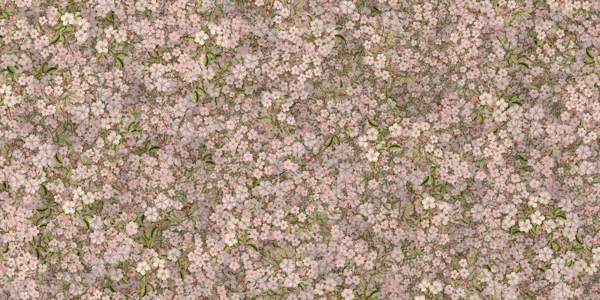 cherry charm pastel blossom wall mural