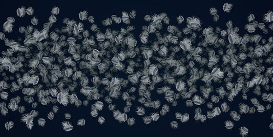 jiggling jellyfish mural wallpaper