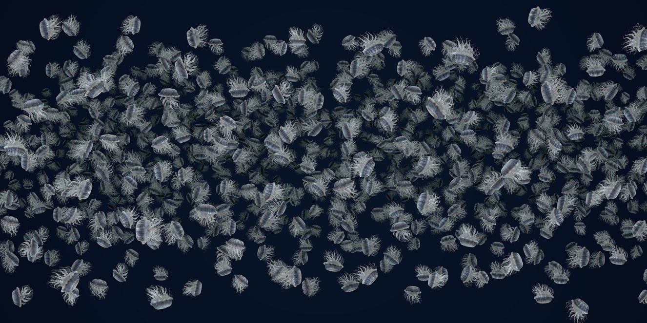 jiggling jellyfish mural wallpaper