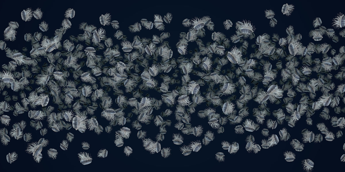 jiggling jellyfish mural wallpaper