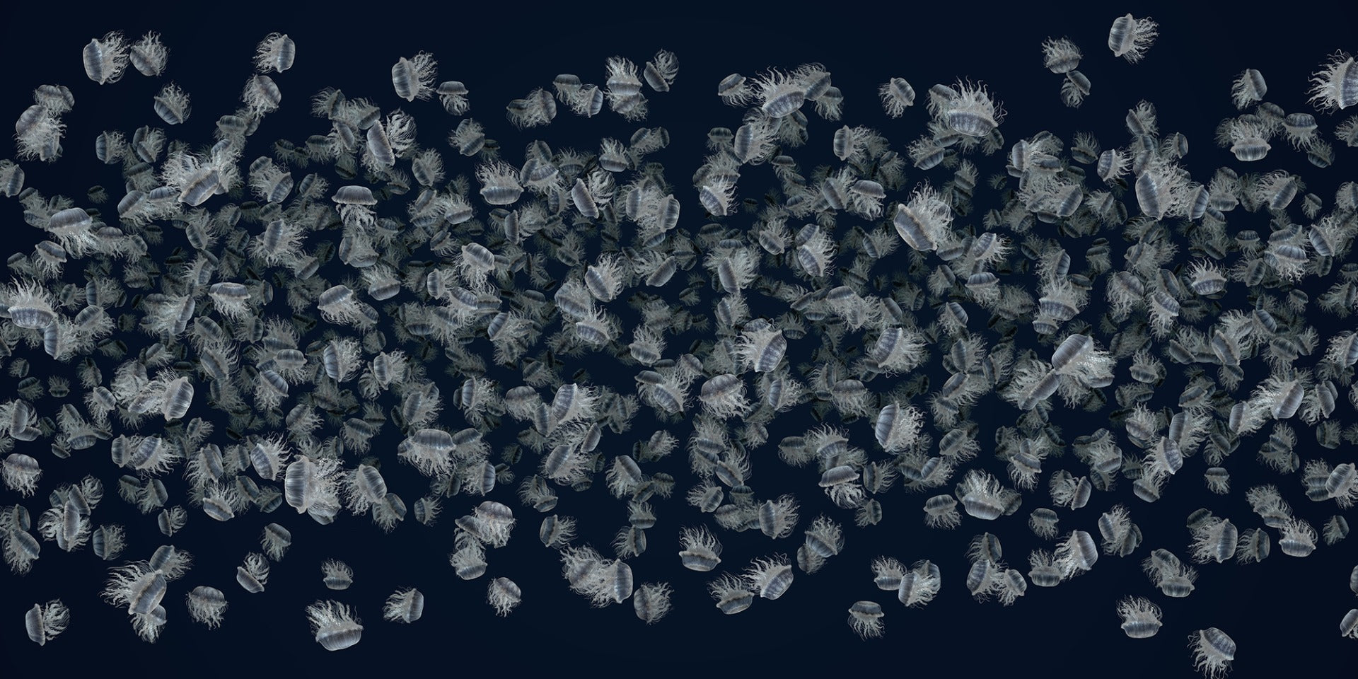 jiggling jellyfish mural wallpaper
