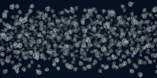 jiggling jellyfish mural wallpaper