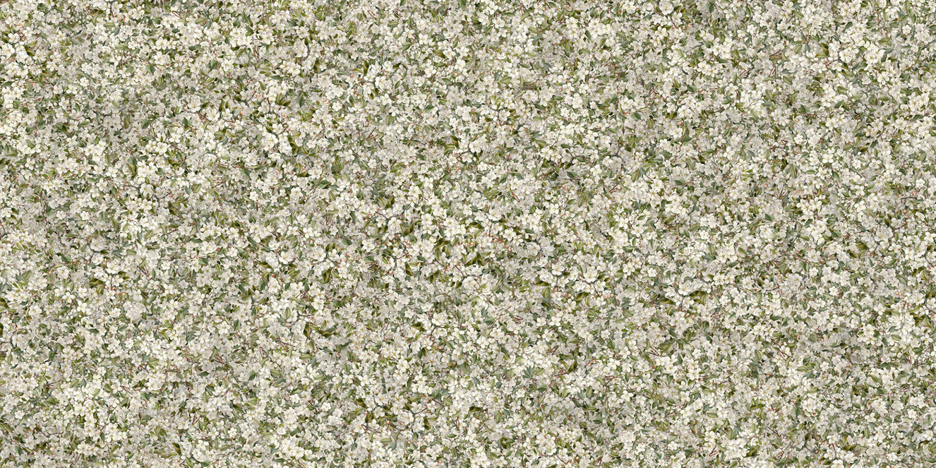 Pear Blossom White Flowers Wallpaper Murals