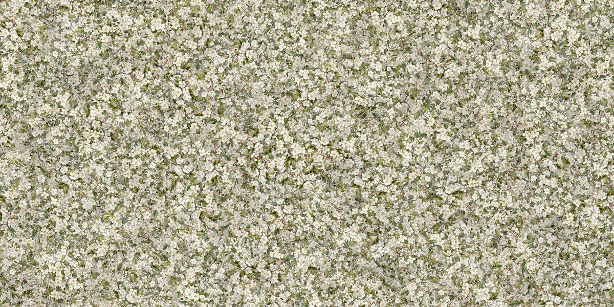 Pear Blossom White Flowers Wallpaper Murals in your room — zoomed