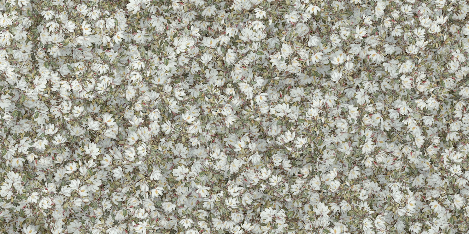Magnolia Blisss white floral wallpaper