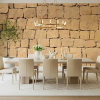 Bedroom with the Earthen Wall Texture rustic mural accent wall.