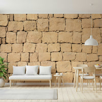 Full wall view of the complete earthy plaster Wall Mural design.