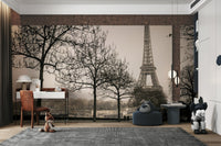 Timeless view of Paris evoking romance and elegance

