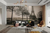 Mural wallpaper reflecting the classic beauty of Paris at its best

