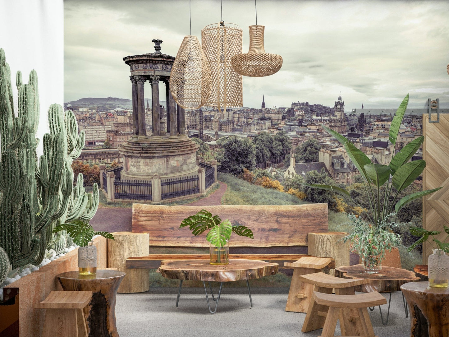 Edinburgh Vista Wall Mural