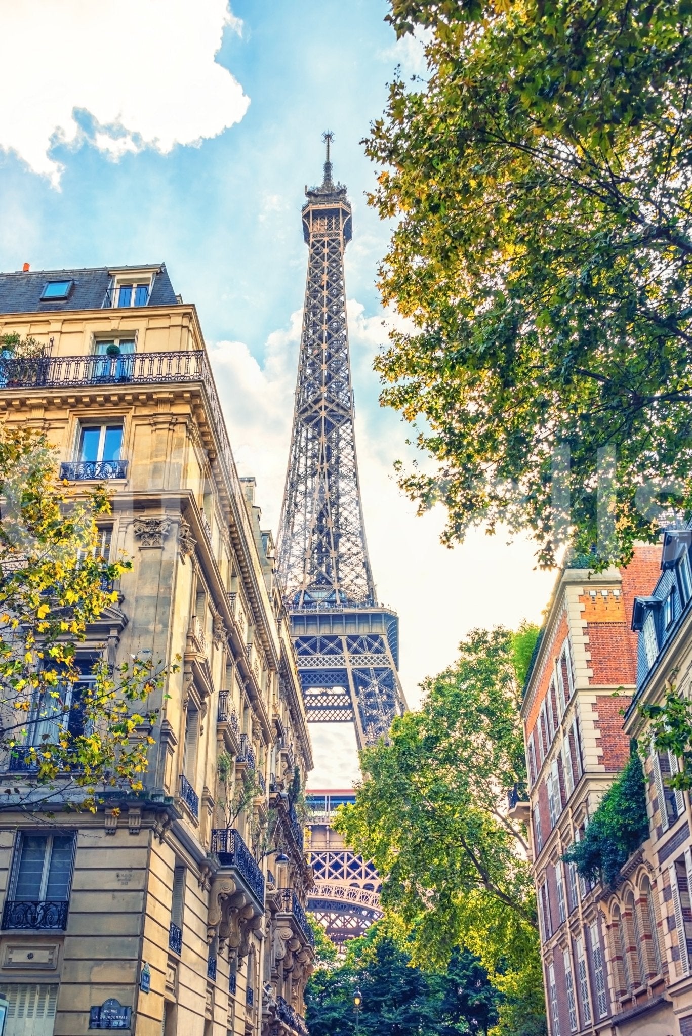 Classic Eiffel Elegance mural on living room wall