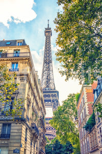 Classic Eiffel Elegance mural on living room wall