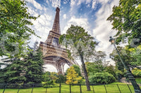 Eiffel Tower Greens wall mural showing Paris landmark with trees and open sky