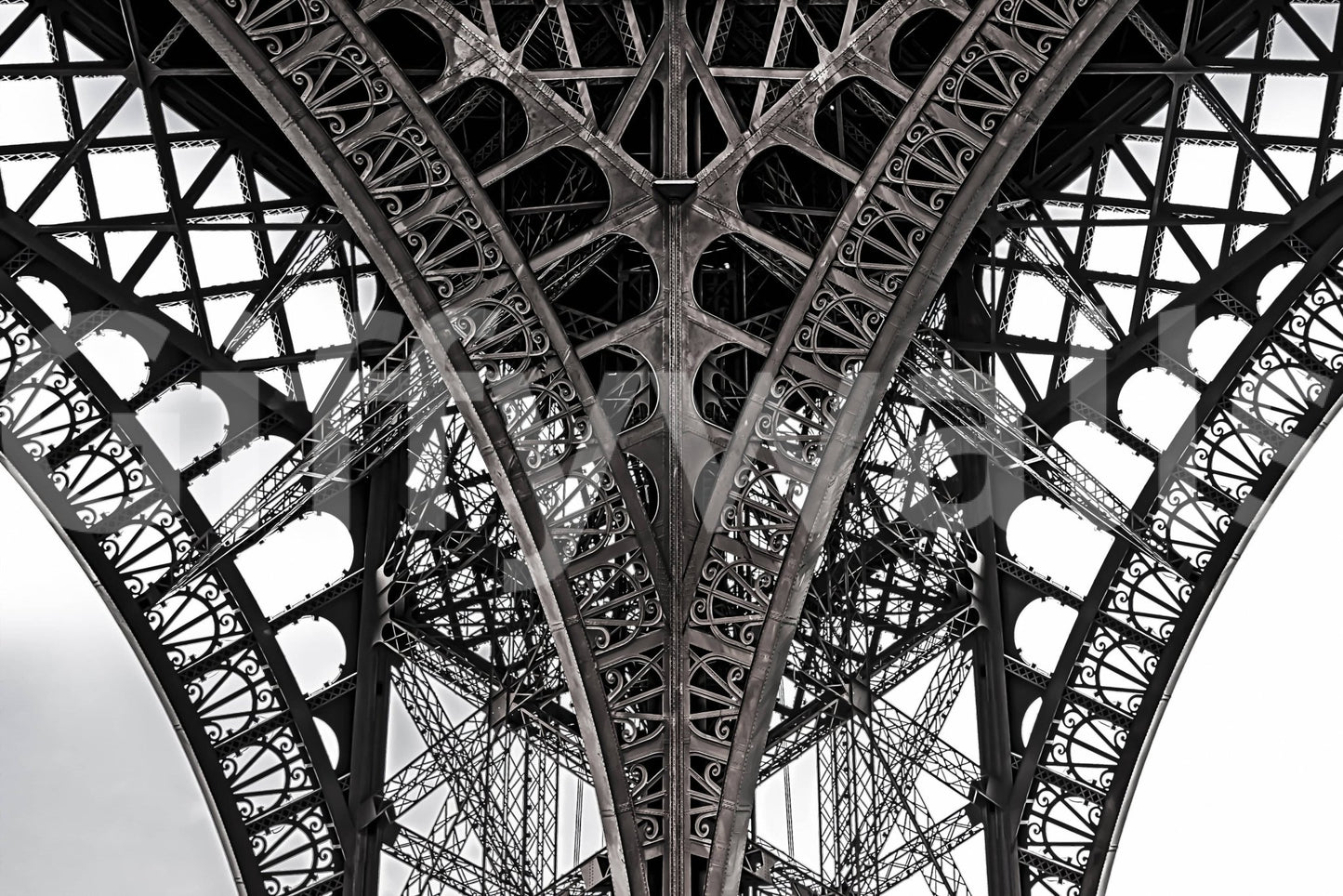 Eiffel's Ascent Wall Mural for a professional corporate office feature wall wallpaper.