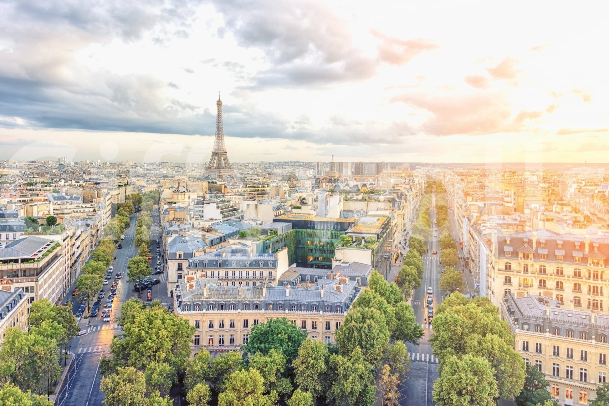 Eiffel's Dawn wall mural showing Paris skyline with soft morning sunlight