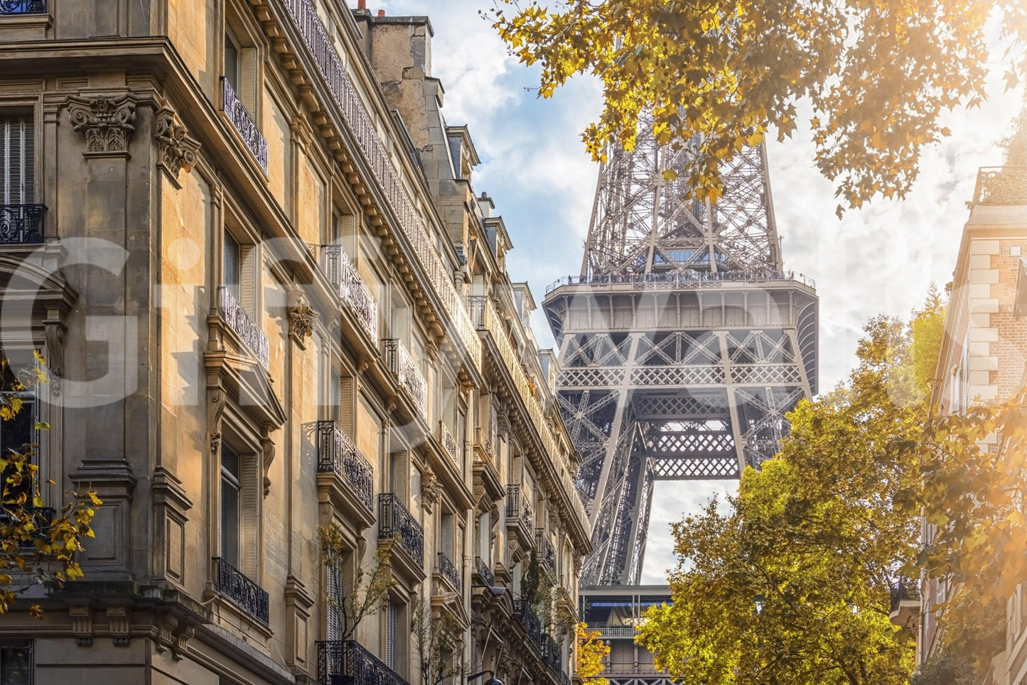 Eiffel's Golden Hour wall mural with Paris buildings, warm light, and tower view