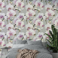 Graceful orchid wallpaper for calming interior designs., GD1739