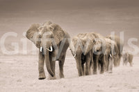 A high-quality abstract print wall mural for walls.