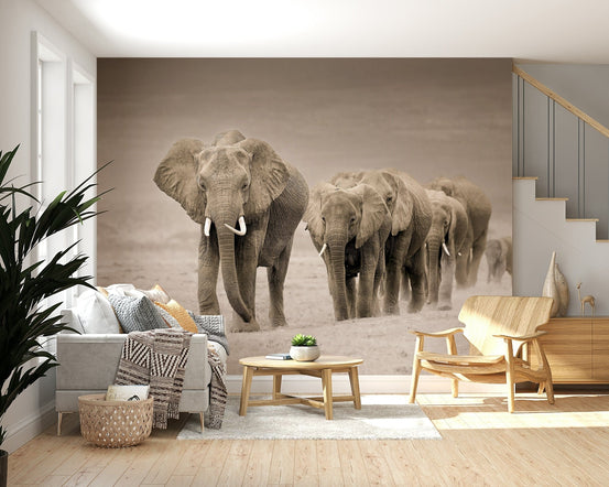 A beautiful majestic elephant wallpaper mural on a journey., GD5854