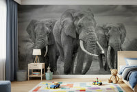 A contemplative gentle elephant wallpaper mural for a feature wall.