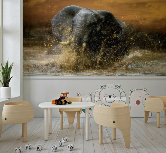 A beautiful elephant plunge wallpaper mural with a majestic animal swimming., GD5920