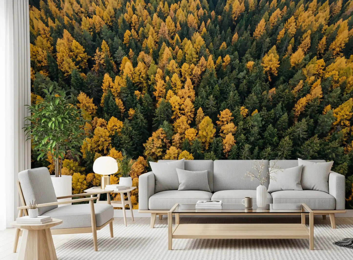 Down the hallway, Emerald and Gold Forest Canopy wall mural unfolds into autumn woodland.GD9602