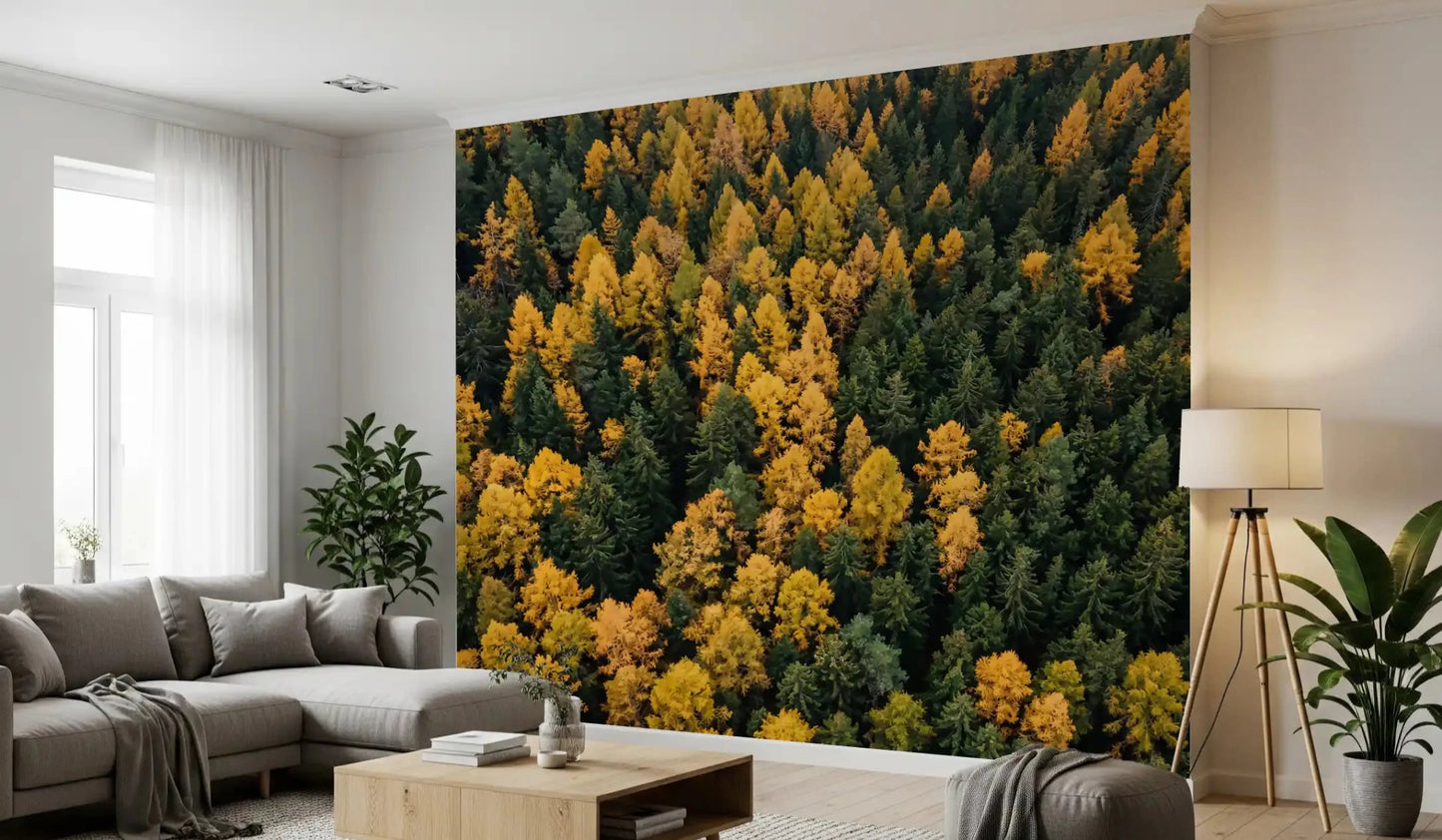 The Hallway, Emerald and Gold Forest Canopy wall mural deepens the warmth.GD9602