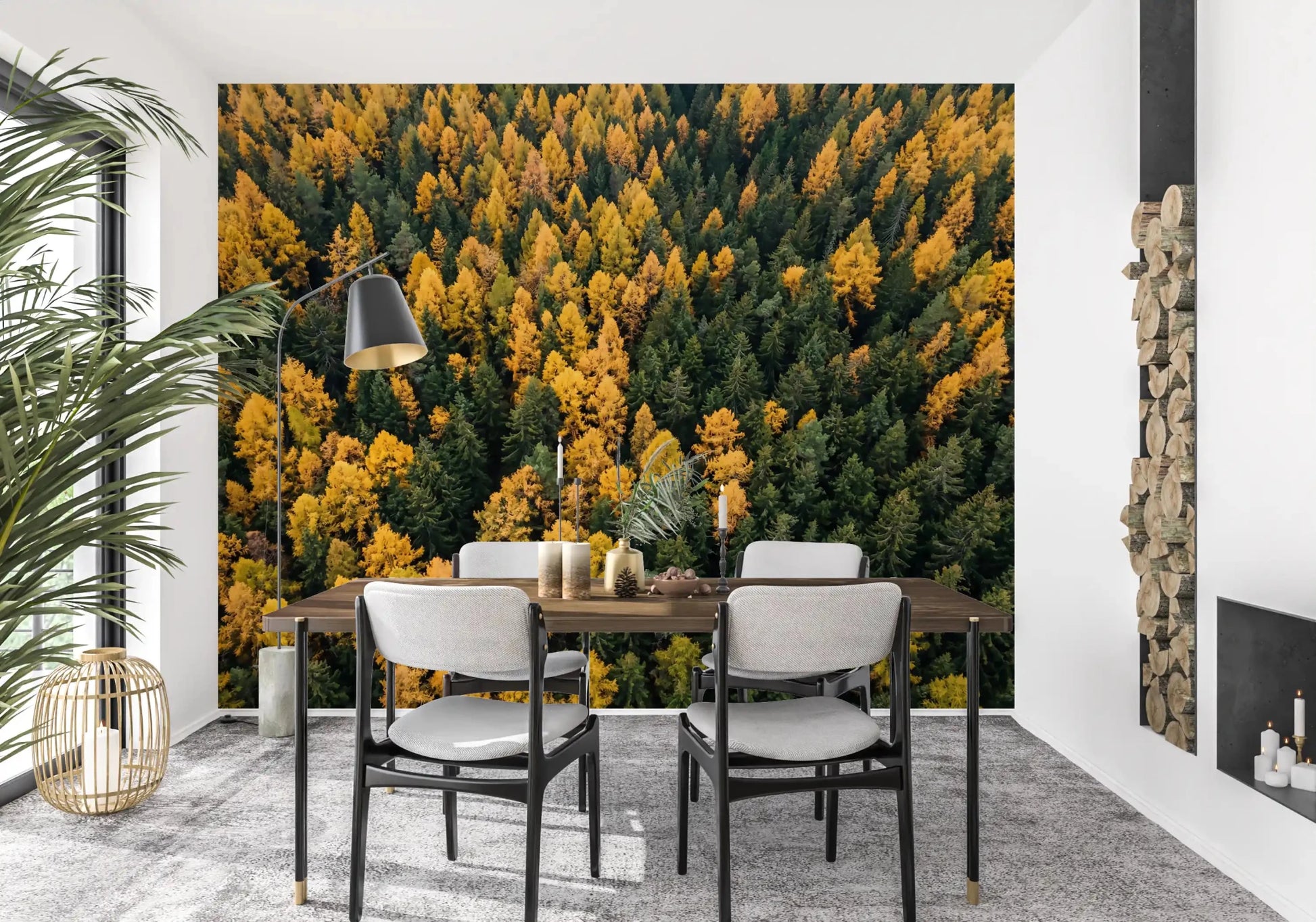 Emerald and Gold Forest Canopy wall mural shows a tightly packed autumn treetop scene.GD9602