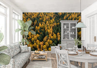 The Dining room rich autumn depth from Emerald and Gold Forest Canopy wall mural.GD9602
