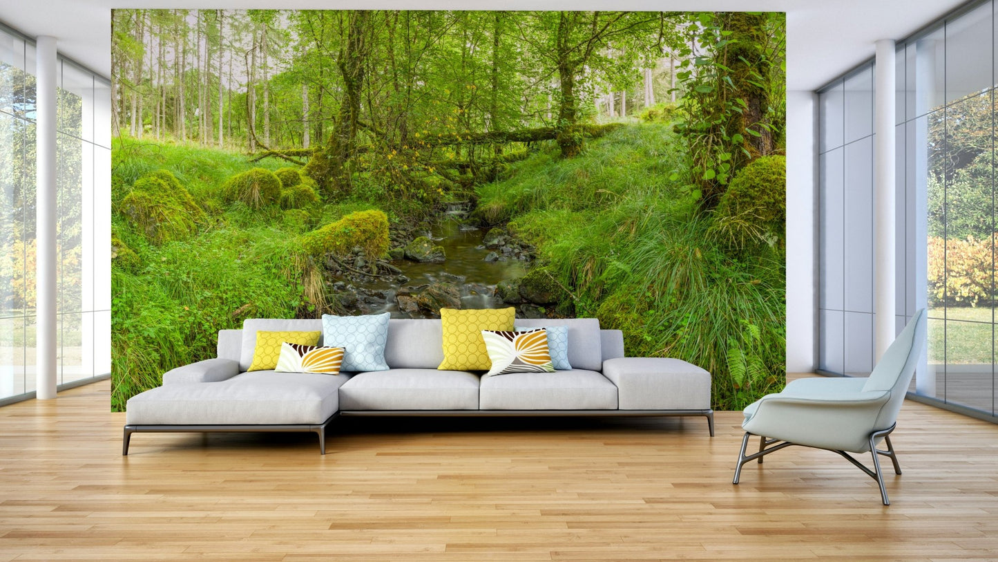 The image shows a peaceful scene with lush green trees.

