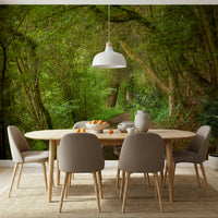 Naturalist kitchen background featuring Emerald Forest Journey Wall Mural.