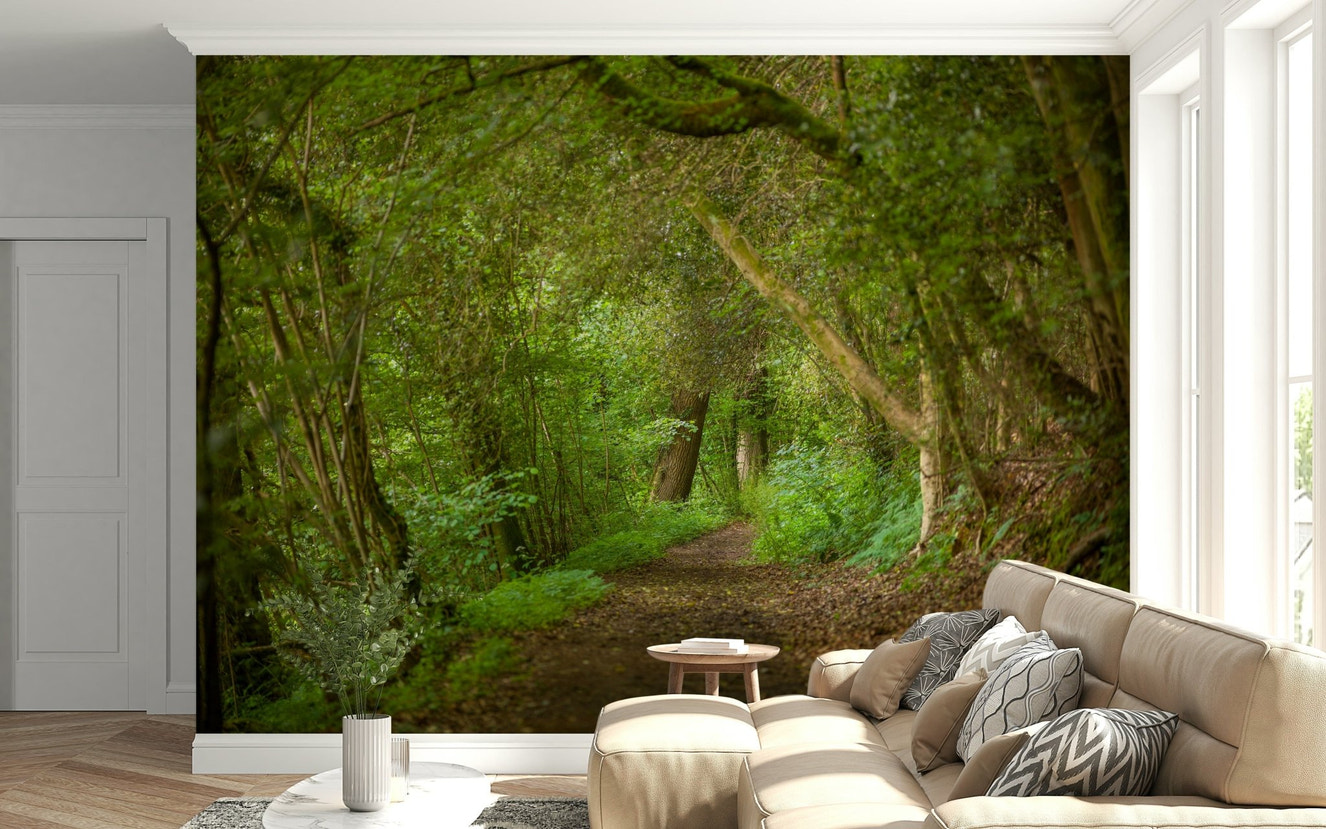 Emerald Forest Journey Wall Mural creating an immersive lounge.