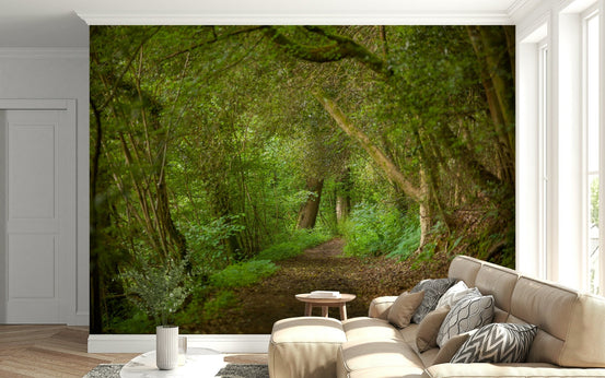 Emerald Forest Journey Wall Mural creating an immersive lounge., GD6416