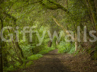 Emerald Forest Journey Wall Mural defining a natural dining setting.