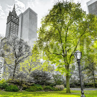 Emerald Metropolis mural with leafy trees and urban backdrop